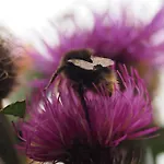 Appartementhaus Sonnleitn 아파트 *