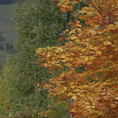 Appartementhaus Sonnleitn * Kals-am Großglockner