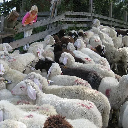 Appartementhaus Sonnleitn Kals-am Großglockner
