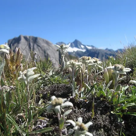 아파트 Appartementhaus Sonnleitn *