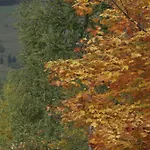 Appartementhaus Sonnleitn * Kals-am Großglockner